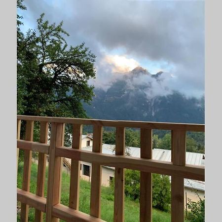 La Casa Del Noce, Immersa Nel Verde Delle Dolomiti Pieve di Cadore Exterior foto