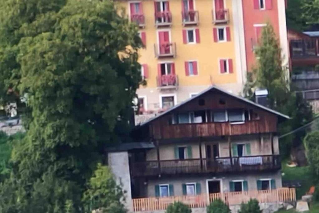 La Casa Del Noce, Immersa Nel Verde Delle Dolomiti Pieve di Cadore Exterior foto