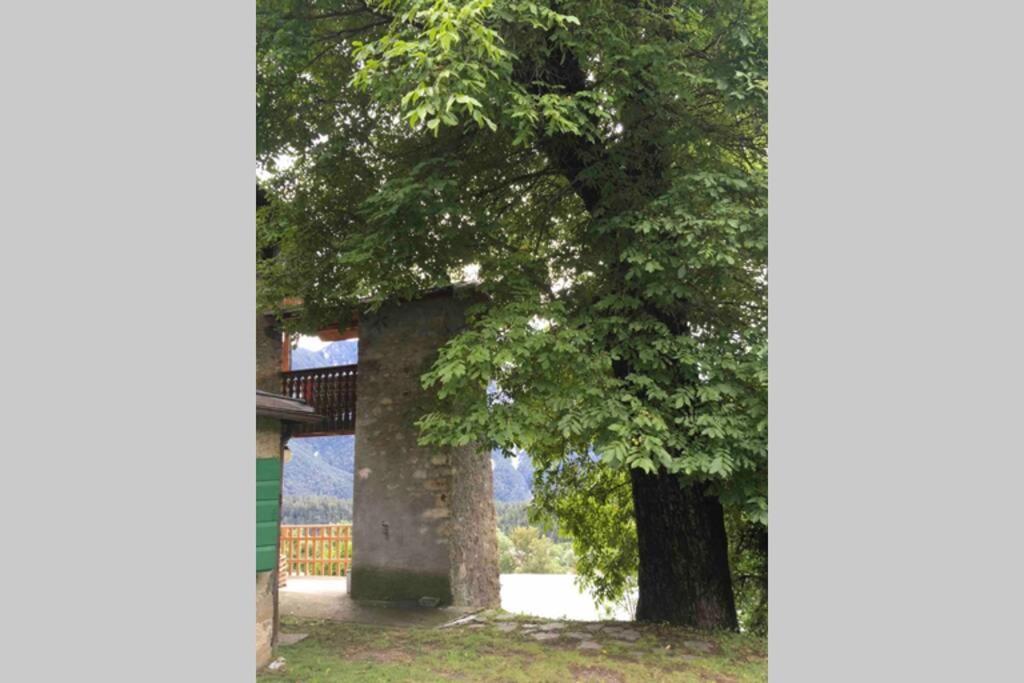 La Casa Del Noce, Immersa Nel Verde Delle Dolomiti Pieve di Cadore Exterior foto