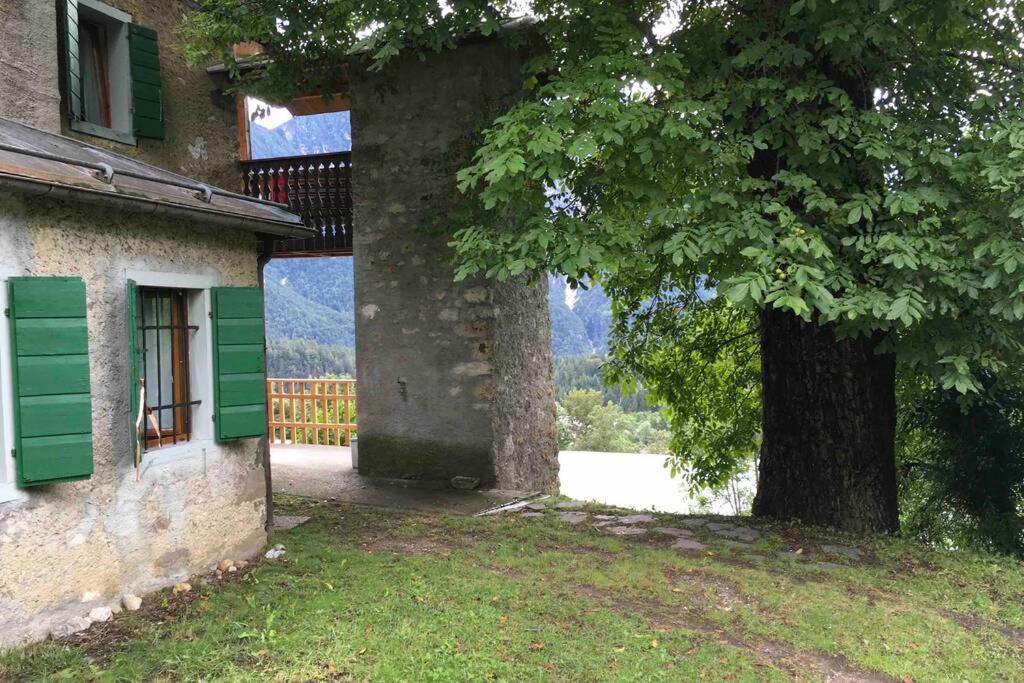 La Casa Del Noce, Immersa Nel Verde Delle Dolomiti Pieve di Cadore Exterior foto